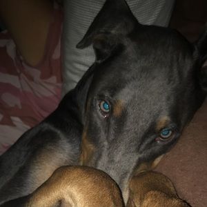 Meet your Posher, Marissa